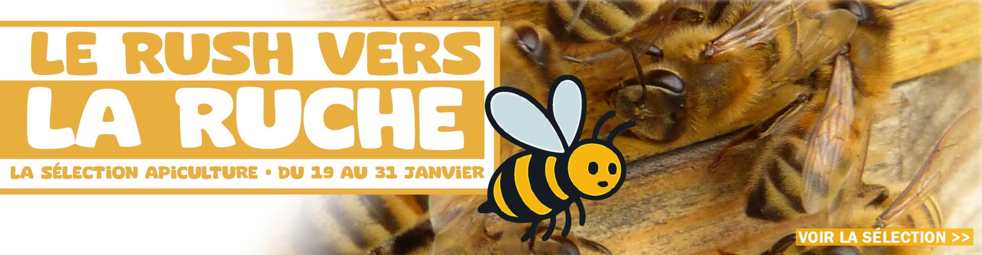 Le rush vers la rûche. La sélection Apiculture du 19 au 31 décembre